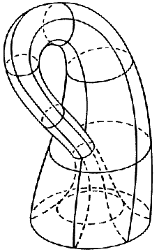 File:Triangulação da Garrafa de klein.svg - Wikipedia